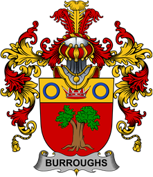 Irish Family Coat of Arms (v.25b) Burroughs