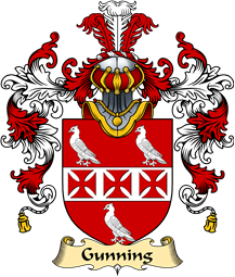 English Family Coat of Arms (v.25) Gunning