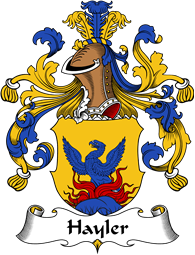 German Wappen Coat of Arms for Hayler