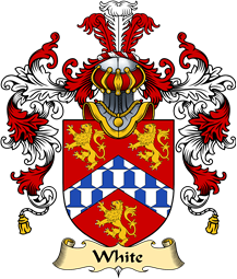 English Family Coat of Arms (v.25) White