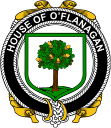 Irish Coat of Arms Badge for the O