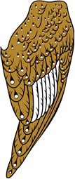 Barn Owl Wing