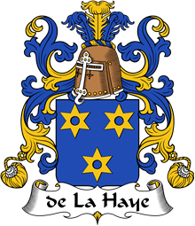 Coat of Arms from France for Haye ( de la) II
