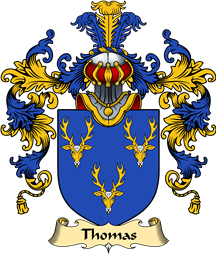 Welsh Family Coat of Arms (v.25) Thomas (AP DAFYDD AP GRUFFUDD)