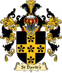 Welsh Family Coat of Arms (v.25) St David