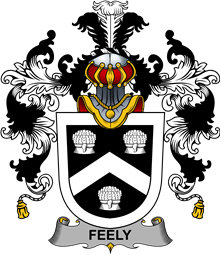 Irish Family Coat of Arms (v.25b) Feely or O