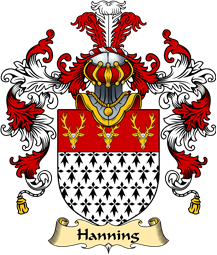 English Family Coat of Arms (v.25) Hanning