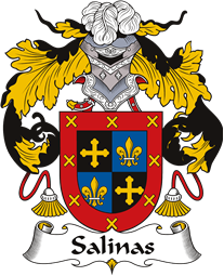 Spanish Coat of Arms for Salinas
