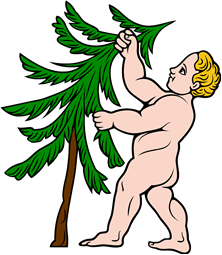 Infant Pulling on Pine Tree