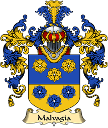 Italian Family Coat of Arms (v.25a) Malvagia