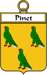 French Coat of Arms Badge for Pinet