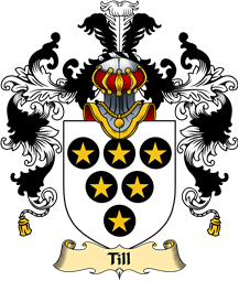 English Family Coat of Arms (v.25) Till