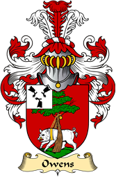 Irish Family Coat of Arms (v.23) for Owens