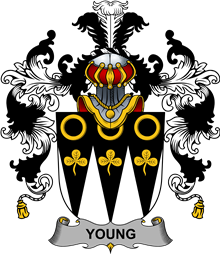 Irish Family Coat of Arms (v.25b) Young