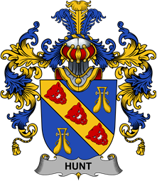 Irish Family Coat of Arms (v.25b) Hunt