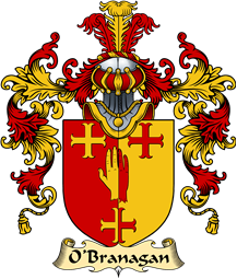 Irish Family Coat of Arms (v.25a) O