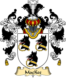 Irish Family Coat of Arms (v.25a) MacQuay or MacKee