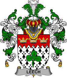 Irish Family Coat of Arms (v.25b) Leech