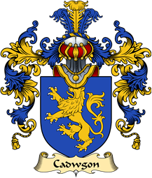 Welsh Family Coat of Arms (v.25) Cadwgon (AP BLEDDYN AP CYNFYN)