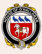 House of Ireland - Coat of Arms Badges