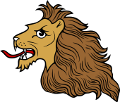 Lion Head and Mane