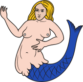 Mermaid Holding TMP I