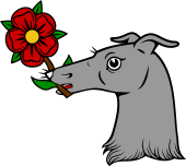 Greyhound Hd Holding Rose Stalk
