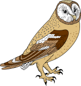 Barn Owl (Yellow)
