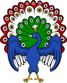 Peacock in her Pride