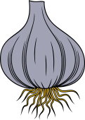 Garlic Bulb