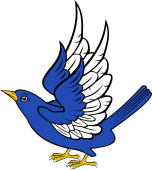 Blackbird, or Merle Wings Elevated