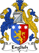 Irish Coat of Arms for English