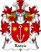 Polish Coat of Arms for Radzic I