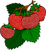 Strawberry Flourish (4)