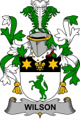 Irish Coat of Arms for Wilson