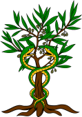 Olive Tree Eradicated Serpents Entwined