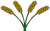 Wheat Stalks (4)