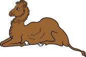 Camel Couchant