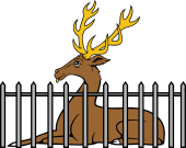 Stag Lodged-Behind Fence