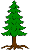 Pine or Fir Eradicated