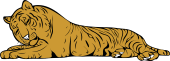 Tiger Dormant