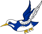 Kingfisher Volant
