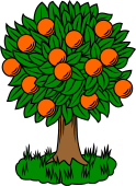Orange Tree II