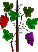Grape Vine-2 Bunches with Pole