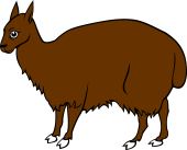 Alpaca