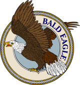 Bald Eagle Rising-M