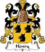 Coat of Arms from France for Henry