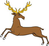 Stag Courant Reguardant