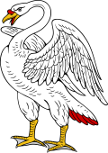 Swan Version 2 Wings Elevated
