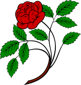 Garden Rose Stalked-Leaved